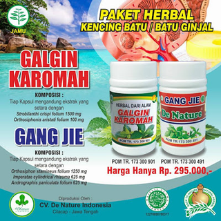 Illustration for article titled Penyakit Batu Ginjal Penyebabnya